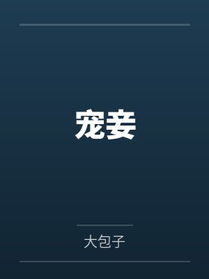 宠妾封面