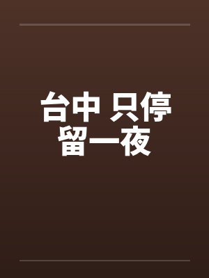 台中 只停留一夜封面