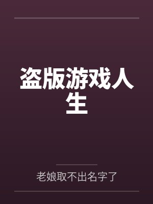 盗版游戏人生封面