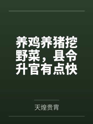 星际第一女猎人封面