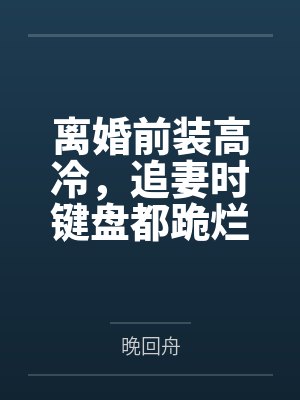 战龙四娘封面