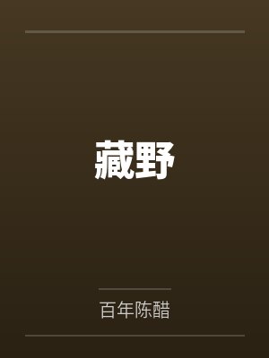 我做边检的那几年封面