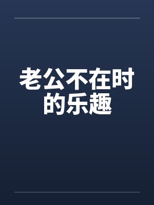 老公不在时的乐趣封面